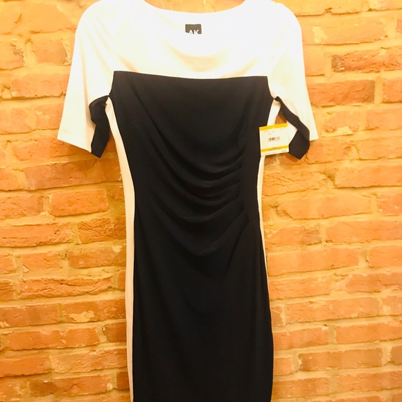 NWT Anne Klein Color block Career Dress. 💕 - Picture 1 of 3